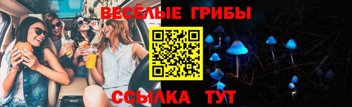 Галлюциногенные грибы Psilocybine cubensis  Вход с VPN  Галлюциногенные грибы мухоморы  Лабинск 
